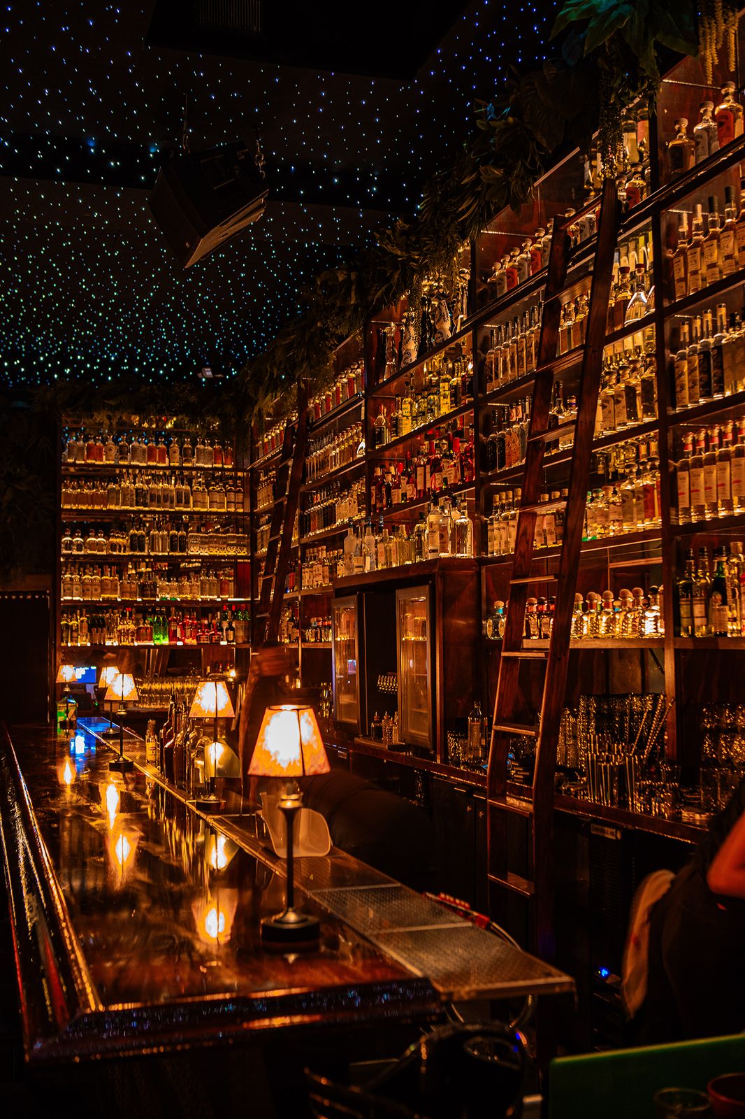 Selva — wall of tequila bottles, lamps lining the bar, fiber-optic stars across the ceiling