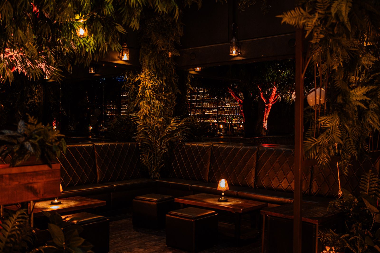 Selva — the lounge